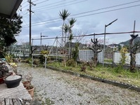 2524-s-2.jpg