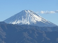 2536-s-13.jpg