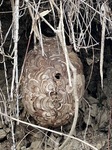 2583-s-8.jpg