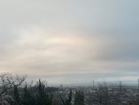 2617-s-1.jpg