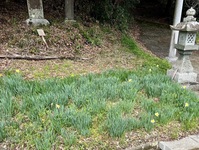 2648-s-14.jpg
