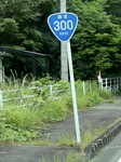2761-s-4.jpg