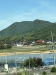 2769-s-1.jpg