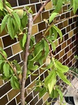 2772-s-9.jpg
