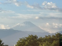 2783-s-4.jpg
