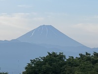 2784-s-1.jpg