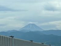 2785-s-16.jpg