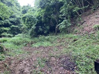 2800-s-16.jpg