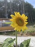 2842-s-8.jpg