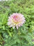 2844-s-10.jpg