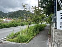2858-s-14.jpg