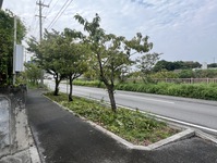 2858-s-15.jpg