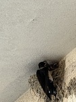 2883-s-14.jpg