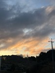 3338-s-1.jpg