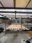 3341-s-12.jpg