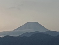 3347-s-2.jpg