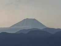 3347-s-3.jpg