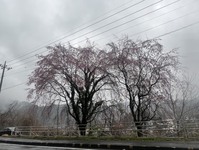 3362-s-1.jpg
