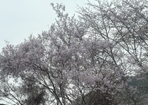 3369-s-15.jpg
