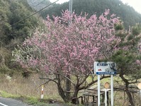 3369-s-18.jpg
