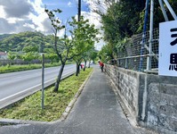 3375-s-3.jpg
