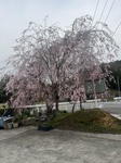 3383-s-12.jpg