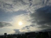 3393-s-1.jpg