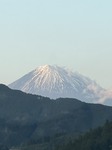 3419-s-1.jpg
