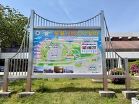 3431-s-11.jpg