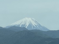 3438-s-1.jpg