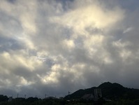 3466-s-1.jpg