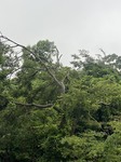3543-s-1.jpg