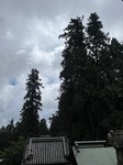 3552-s-5.jpg