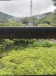 3608-s-1.jpg